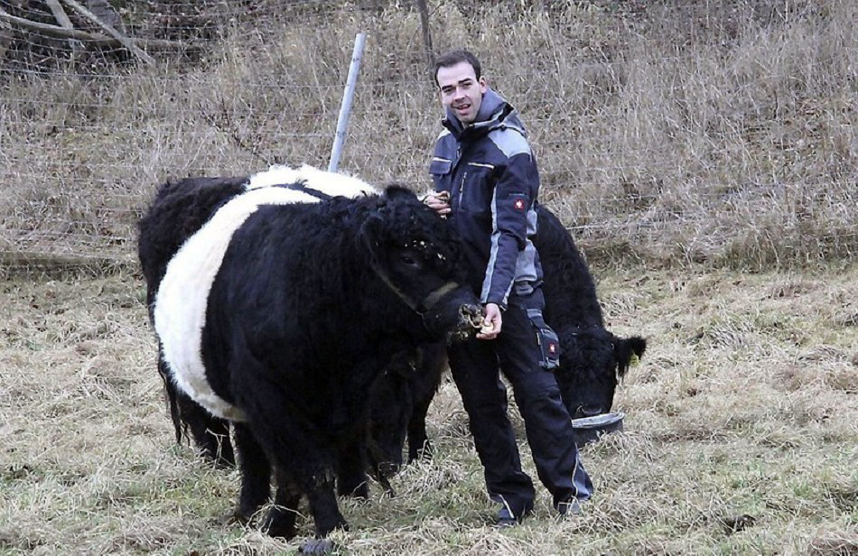 8 In tierischer Gesellschaft: Galloway Bulle Appolo ist ein ganz sanfter. 8 In tierischer Gesellschaft: Galloway Bulle Appolo ist ein ganz sanfter.