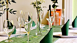 Galloway-Rind vom Sälzerhof